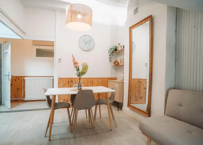 Appartement Centre Puy-En-Velay
