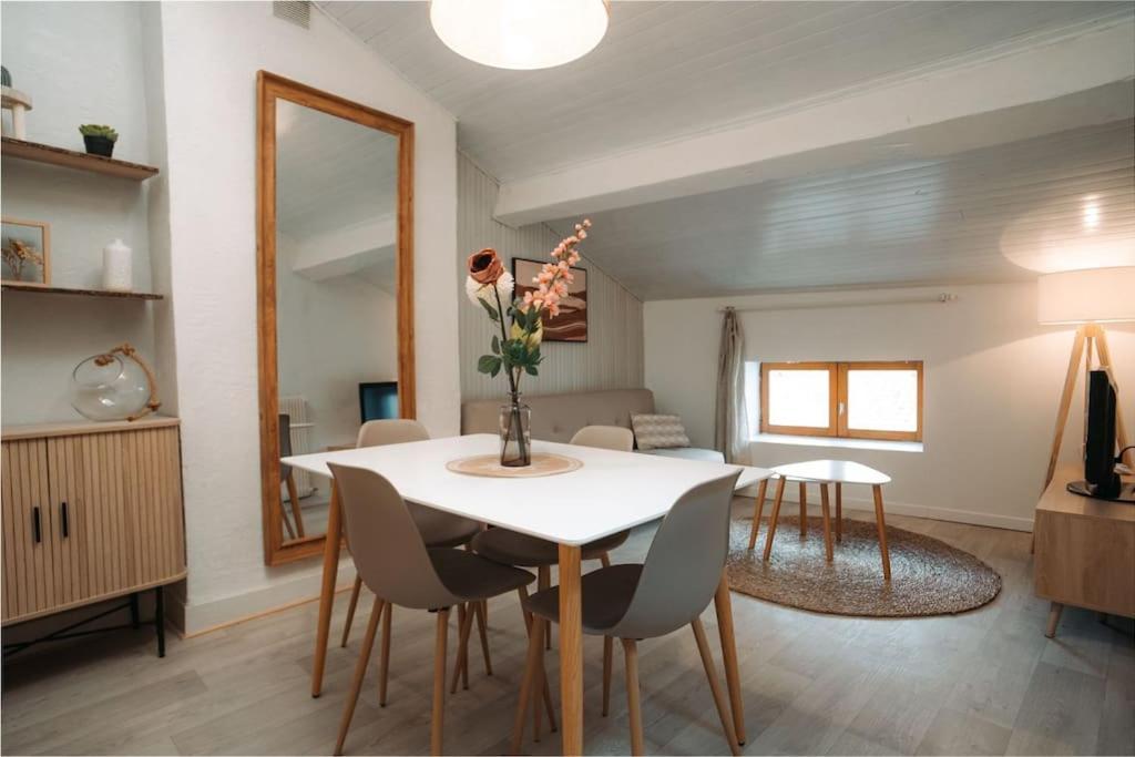 Apartment Centre Puy-en-velay *